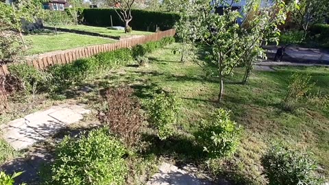 Gartenverein Rasenmähen 04/25 Laubenpieper