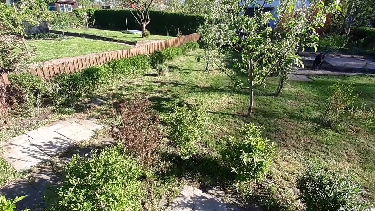 Gartenverein Rasenmähen 04/25 Laubenpieper