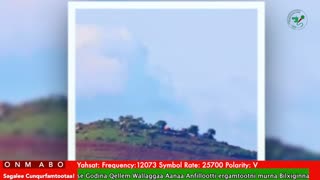 ONM-ABO Adoolessa 17-2025 itti dhiyaadhaa!