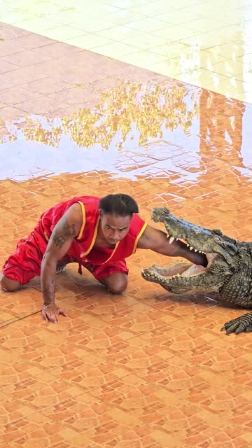 😳 Amazing: He puts his hand in the crocodile's mouth and thinks they will survive