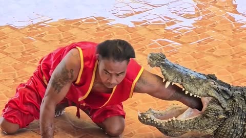 😳 Amazing: He puts his hand in the crocodile's mouth and thinks they will survive