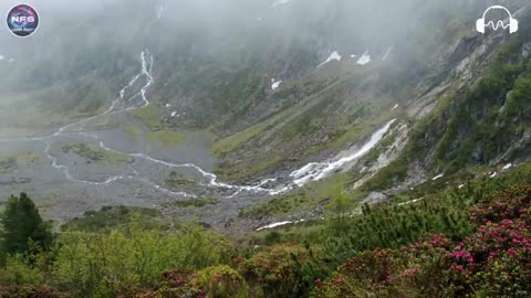 9 Hz Meditation Music - Instant Nervous System Relaxation