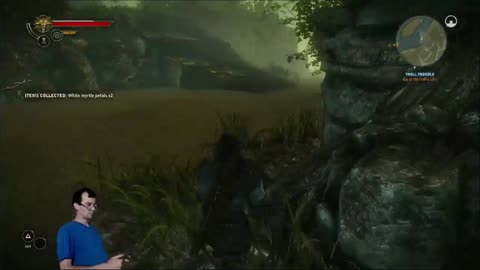 Witcher 2 with things and stuff and things with stuff