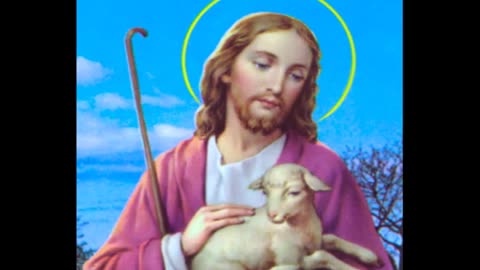 Shepherd Me