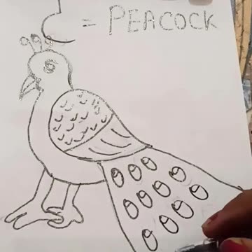 Easy Peacock drawing for beginners #shorts #youtubeshorts #drawing #howtodraw #drawingtutorial