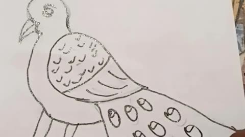 Easy Peacock drawing for beginners #shorts #youtubeshorts #drawing #howtodraw #drawingtutorial