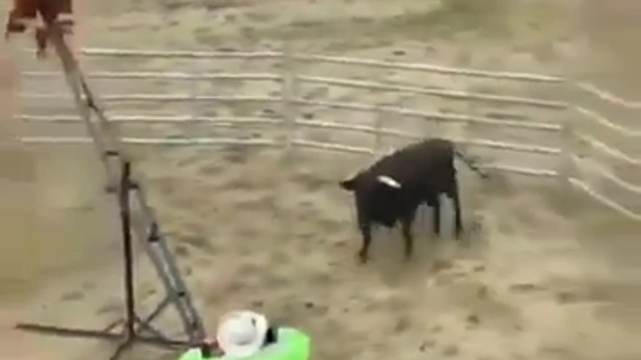 This is why women live longer than men