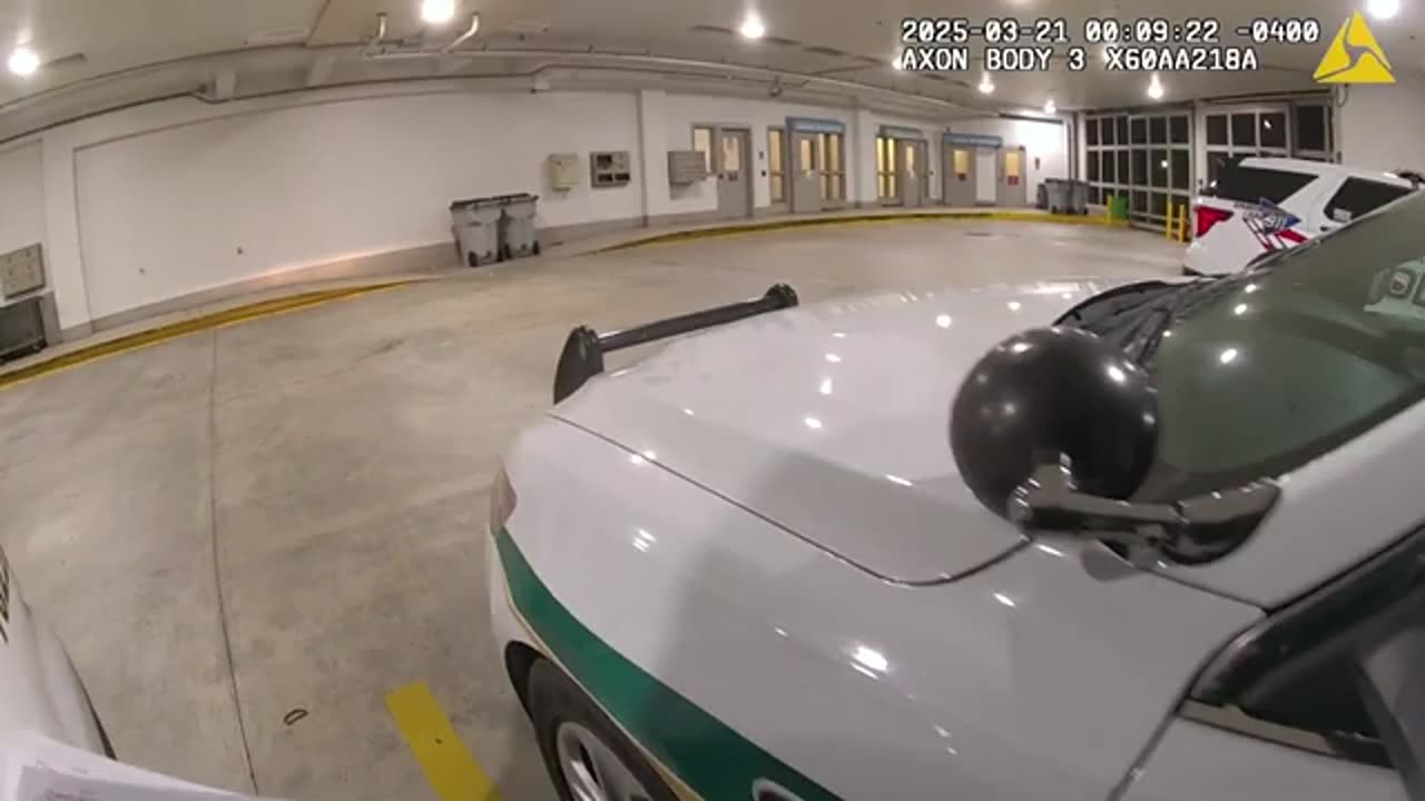 Girl Breaks Into BMW, Becomes Enraged At Police
