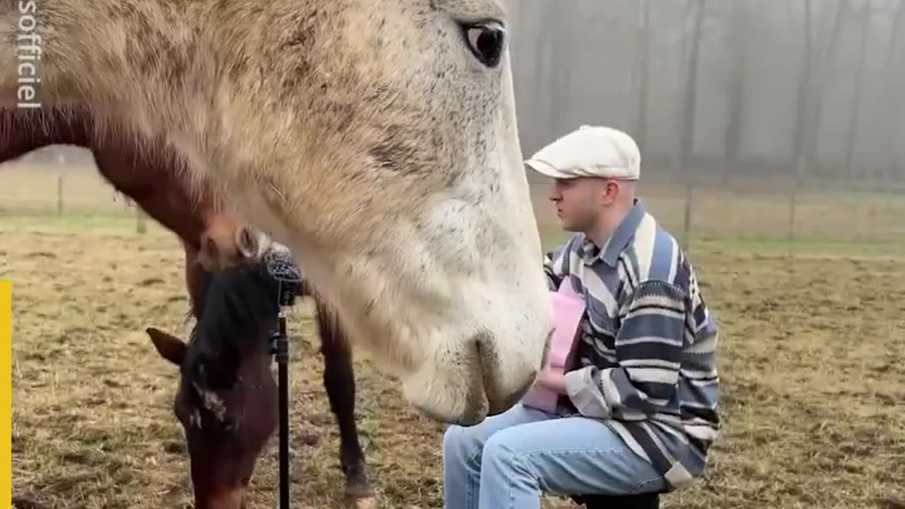 SINGING TO ANIMALS AND THEIR REACTION