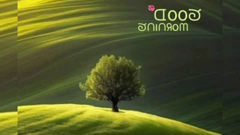 Nature beautiful view