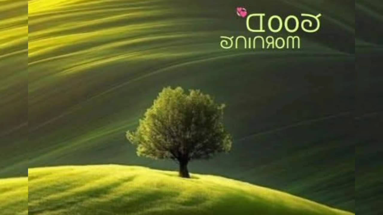 Nature beautiful view