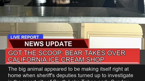 Got the Scoop Bear Takes Over California Ice Crea
