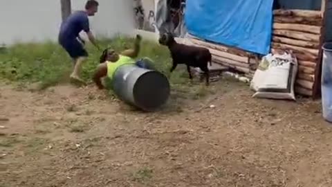 MY [RACIST] 🐐 PET GOAT