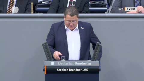 Stephan Brandner Rede vom 25.03.2025 – Beschlussfassung über Geschäftsordnungen