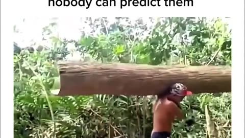 😂🤣 Ts is So Random, LOL! | FunFM