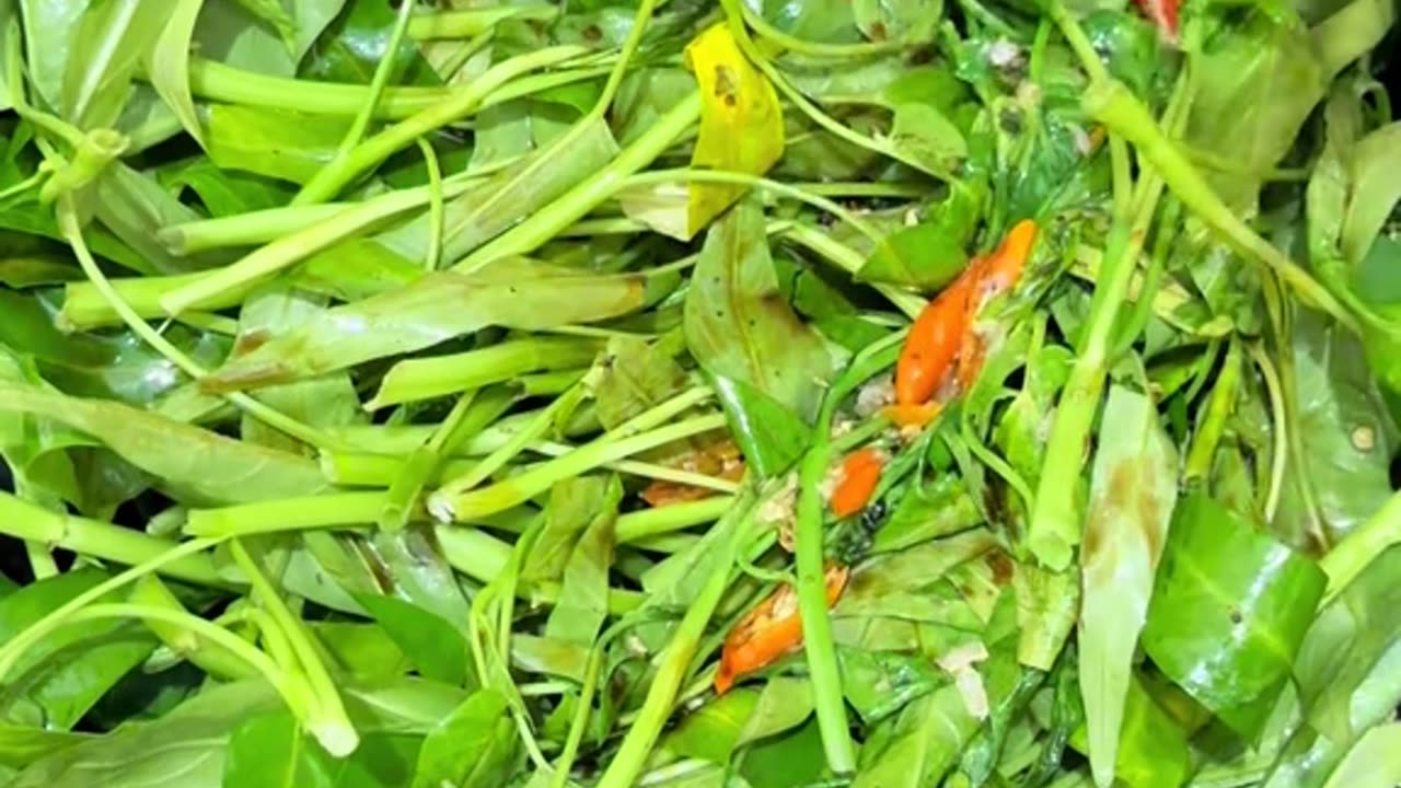 Hearty and Nutritious Lunch Ideas to Power Your Afternoon