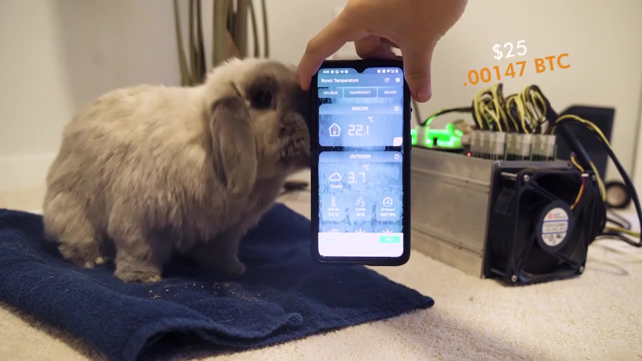 Warming Up to Bitcoin - The Future of Sustainable Heating?