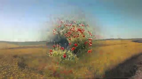 Music 🎶 #Song#lofi2026beats#lofi2026 #radio music cute