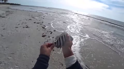 a pesca col vivo vicino uno dei canali per insidiare gra1ho usato anche i gamberi_part21