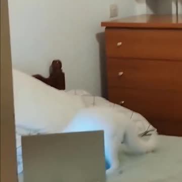 Quickly deleting browser history 🤣