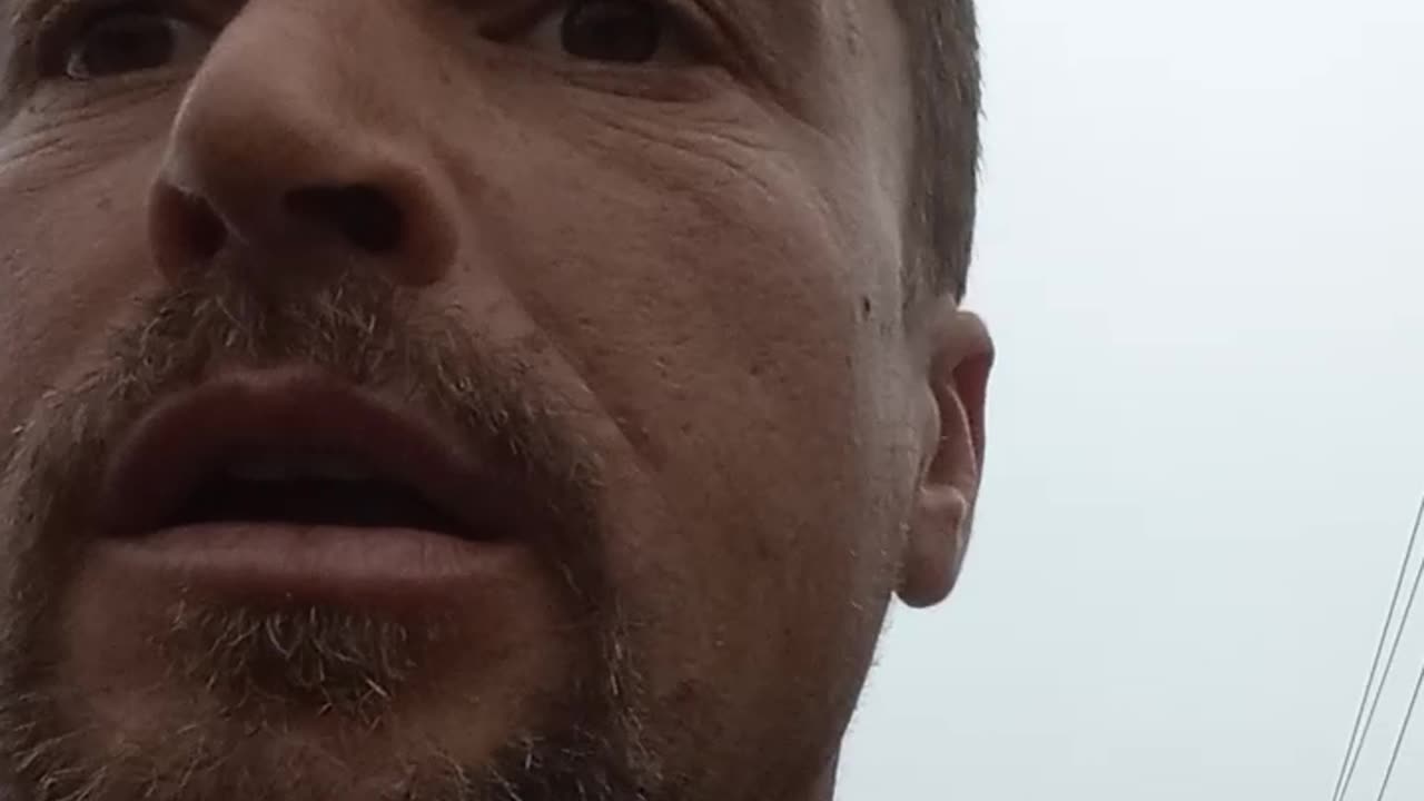 D14