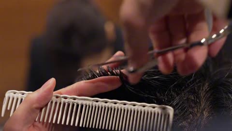 Treated Like Royalty VIP Executive Grooming in Osaka Japan Haircut