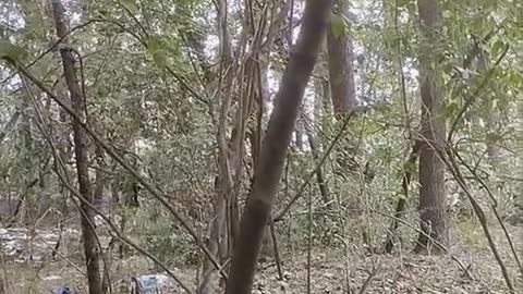Ukraine war combat footage 9/15/25