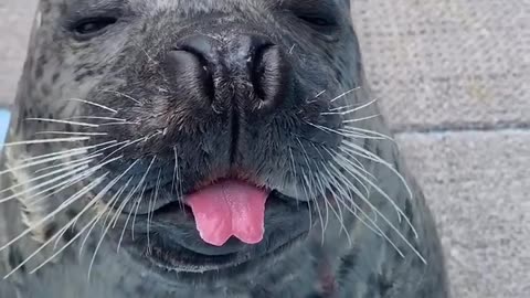 😂❄️ Me After A Cold Shower – Instant Regret! | FunFM