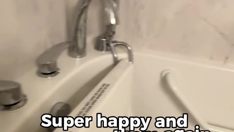 Outstanding from Start to Finish | Real Reviews 32