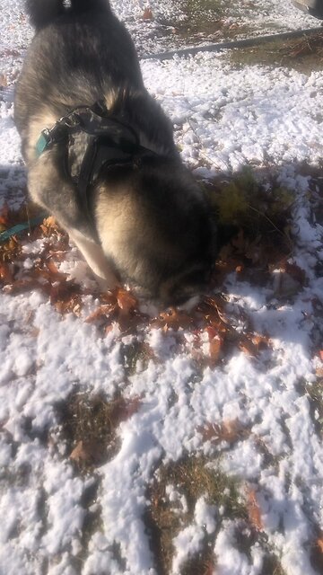 Monday November 10, We have given up everything to follow you.