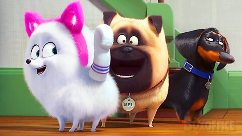 Cat teaches how to be a cat _ The Secret Life of Pets 2