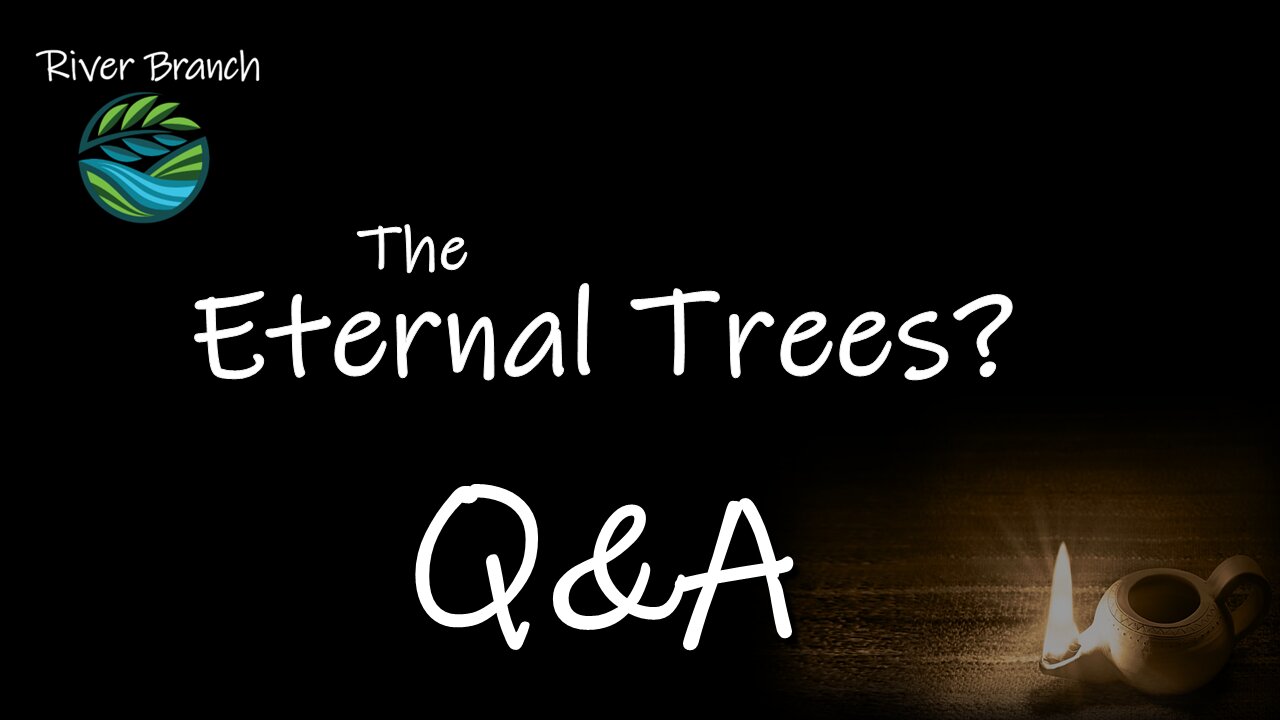 The Eternal Trees? Q&A - Hidden Revelations