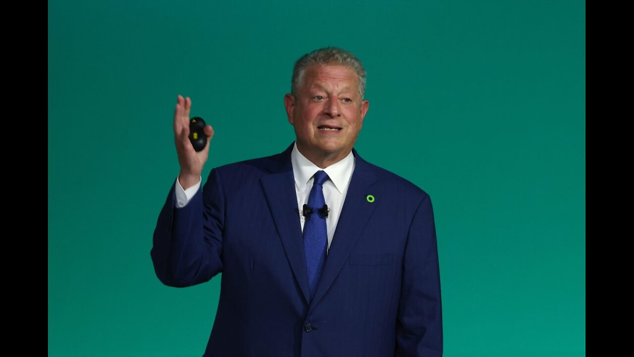 Wild Card had it going on the whole time 😂🎉