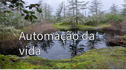 Tudo Está Automatizado... E Agora?