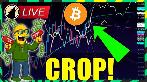 🐺 MASSIVE! Bitcoin and Alts give scalpers Take Profit opportunities 🐺🚨LIVESTREAM🚨