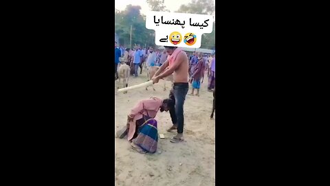funny videos