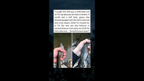 Fisher Reunites With Same Fish Weeks Later