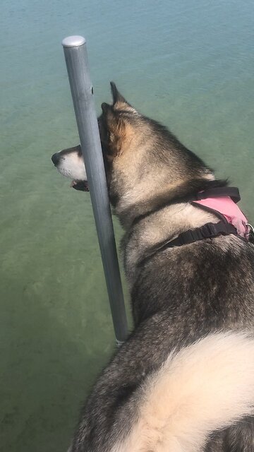 Wednesday, June 11, The Father leaves all judgment to his Son