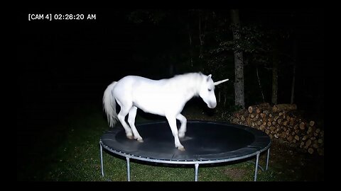 CCTV Camera : Caught Unicorn and Other Animals Jumping On The Trampoline At 3Am.