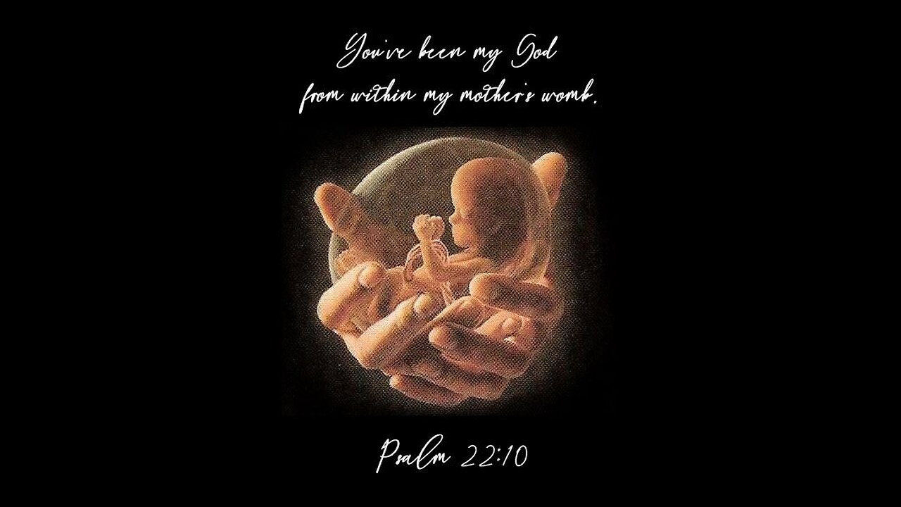 LIFE IN THE CONSTITUTION