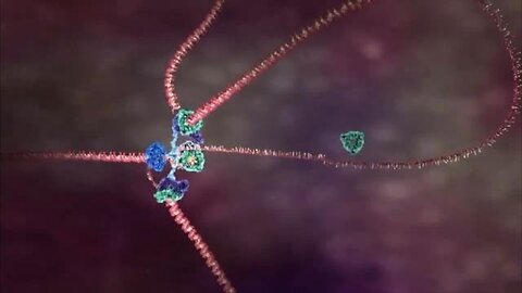 "Unveiling the Hidden World: Molecular Machines Functioning Inside Your Body"