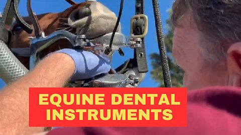 How to Find Equine Dental Instruments