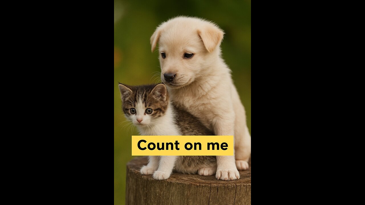 Come on, that's useless.