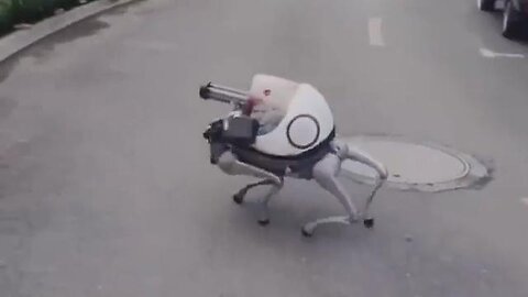 "Protective Rabbit on Patrol: Uncovering the Bunny with a Machine Gun Gimmick"