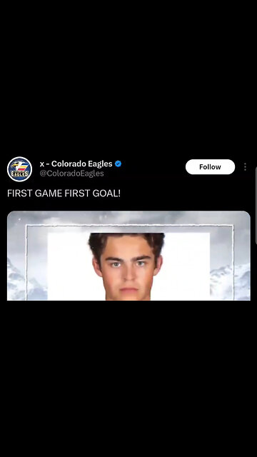 The Colorado Eagles know how to celebrate their player's goals