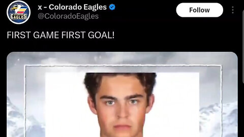 The Colorado Eagles know how to celebrate their player's goals
