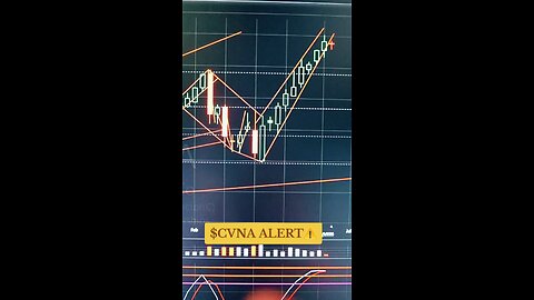 $CVNA ALERT ⚠️