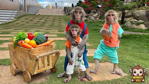 YiYi and YinYin obediently help grandpa take care of baby monkey Yumy on the weekend