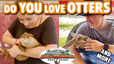 OTTER Encounter; Baby Kangaroos, Capybaras & MORE - Animal Adventure Park & Safari