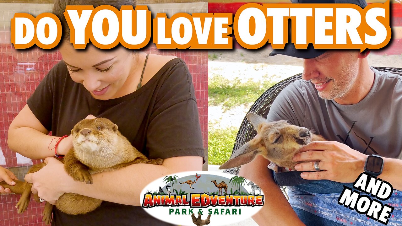 OTTER Encounter; Baby Kangaroos, Capybaras & MORE - Animal Adventure Park & Safari